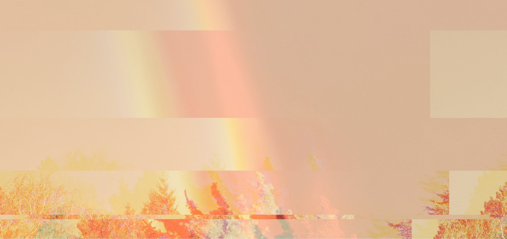 Essenzraum — Regenbogen über dem Wald